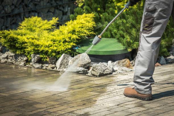 Best Dumpster Area Cleaning  in New California, OH